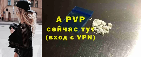 стафф Богородицк