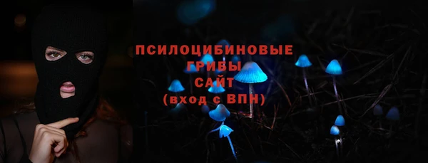 a pvp Богданович