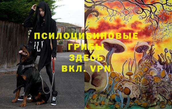 a pvp Богданович