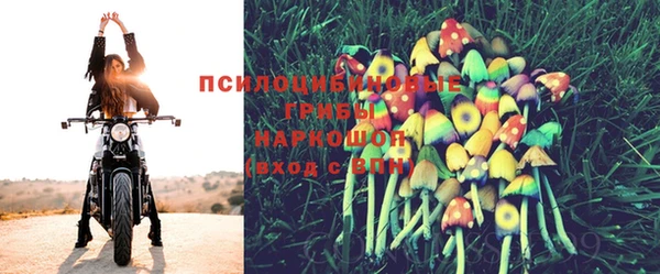 стафф Богородицк