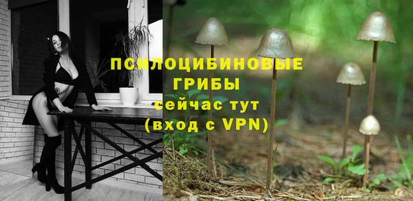 стафф Богородицк