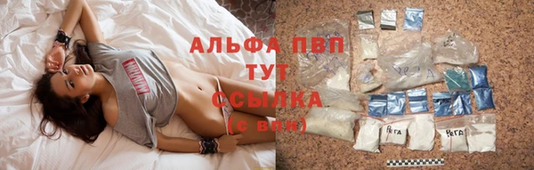 стафф Богородицк