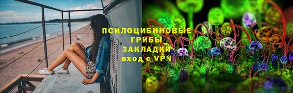 a pvp Богданович